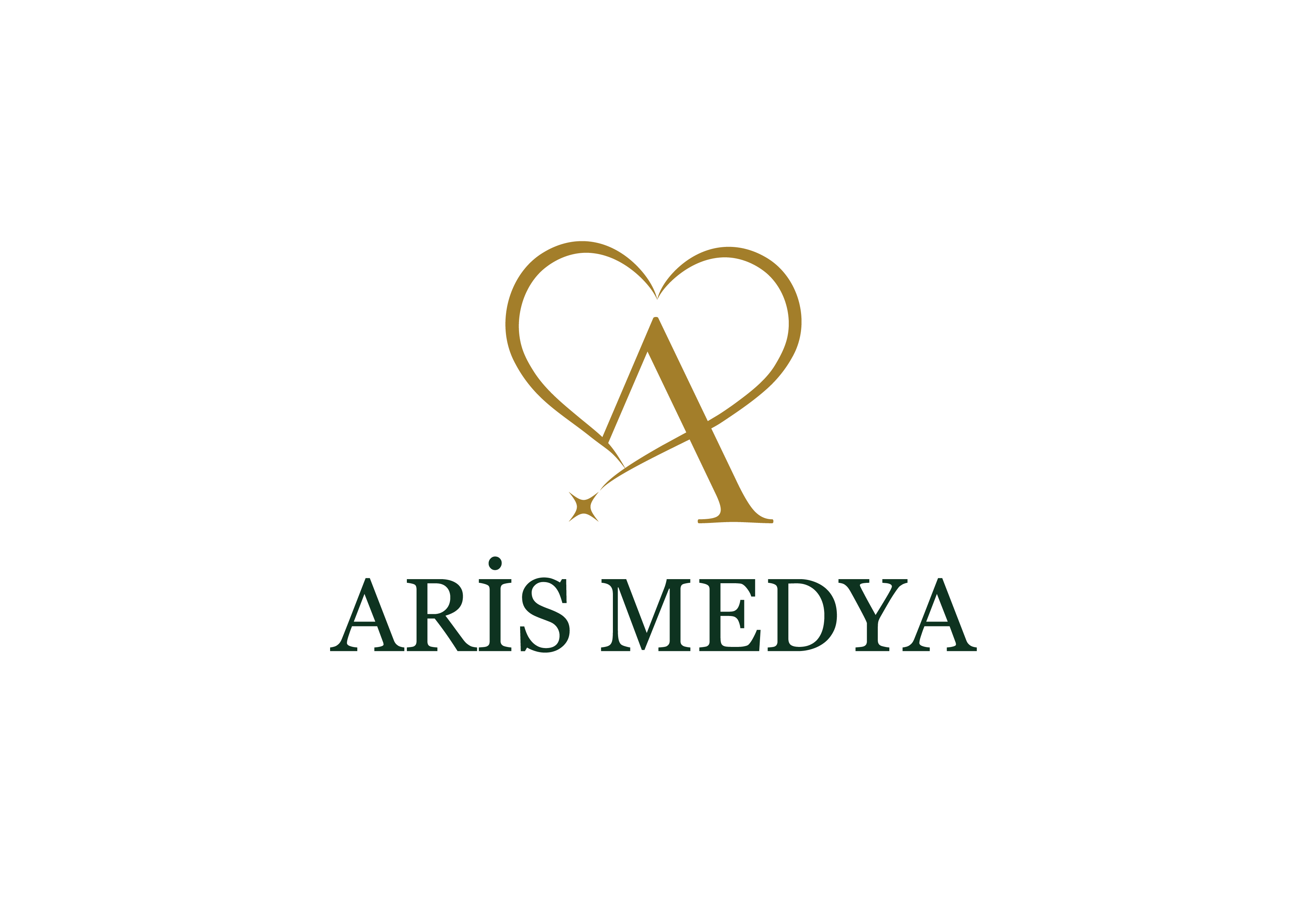Aris Medya Logo